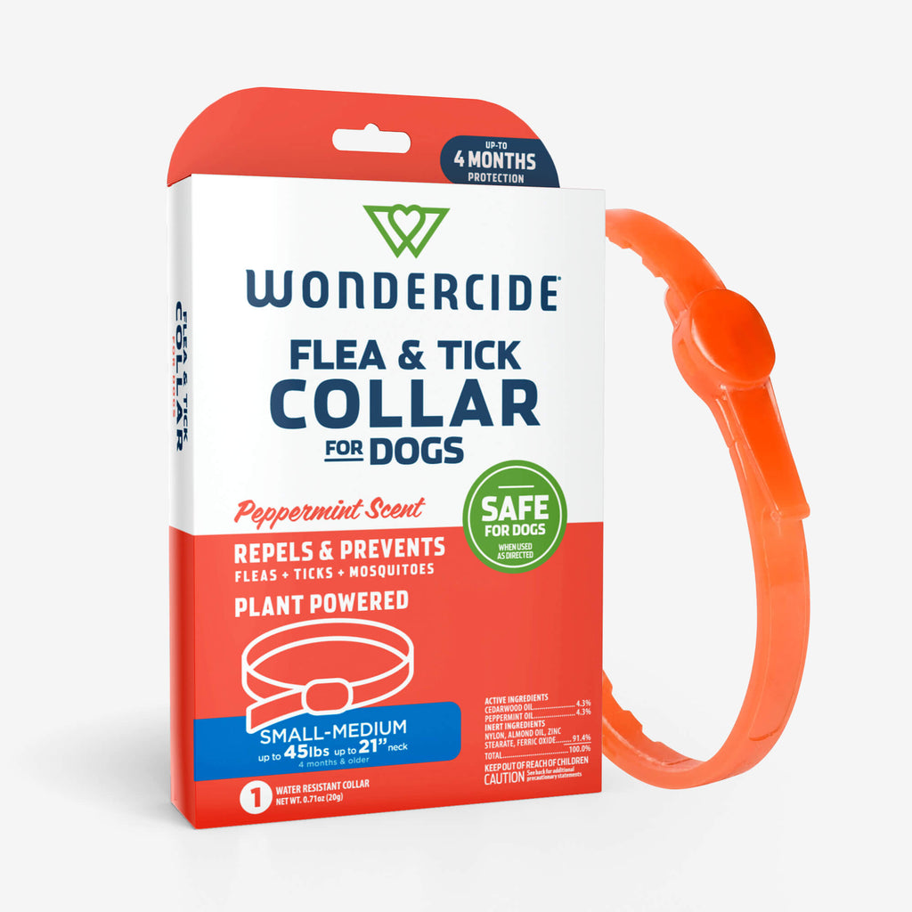 Peppermint Flea and Tick Collar, Small/Medium Dog