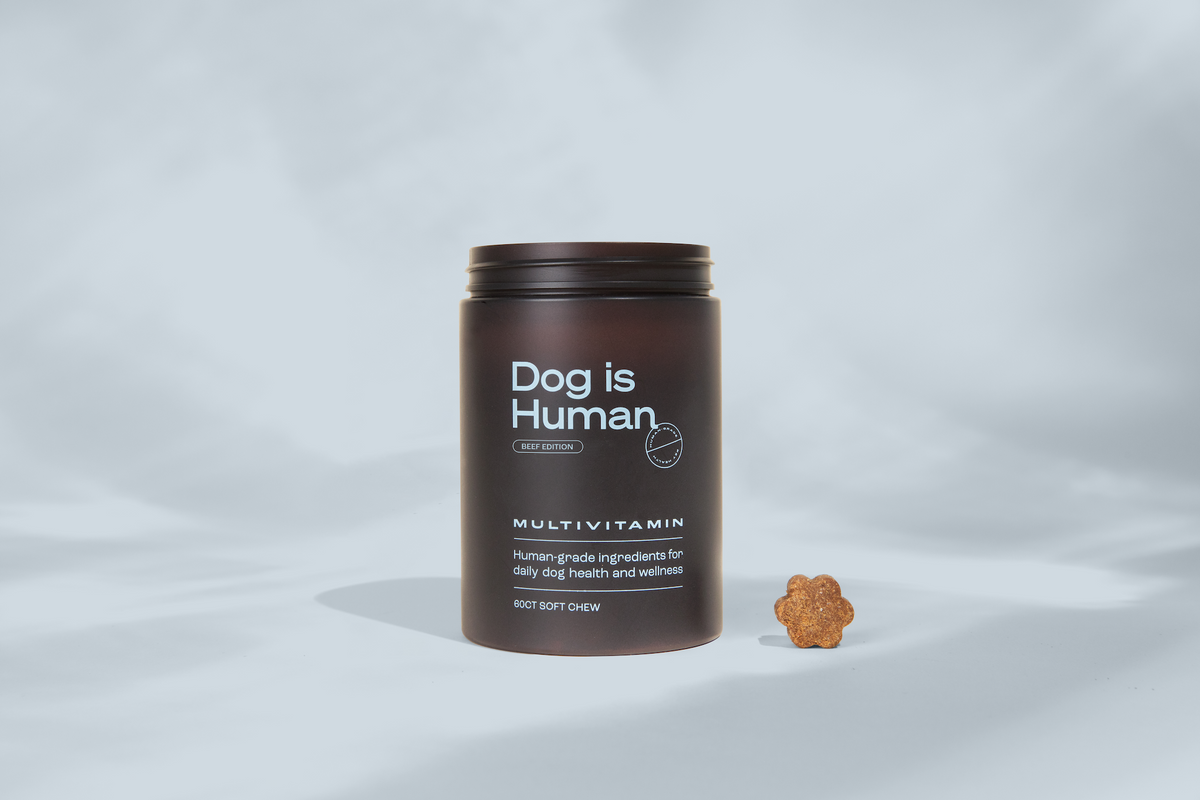 Dog Multivitamin Soft Chews product image 1