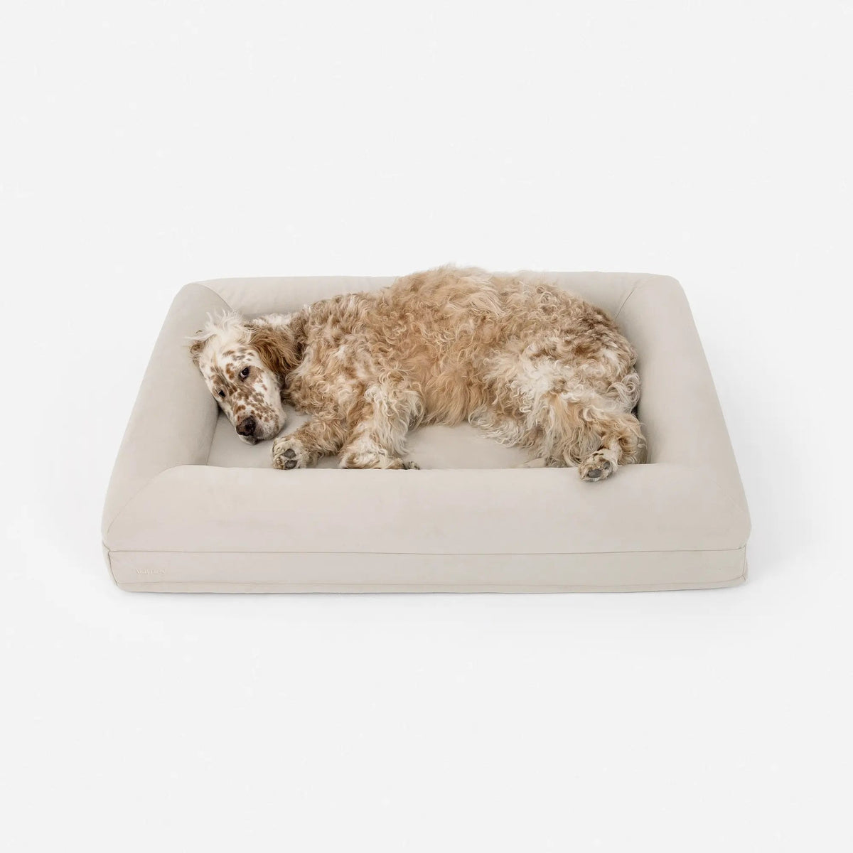 Luxury Microfiber Dog Bed, Bone / L