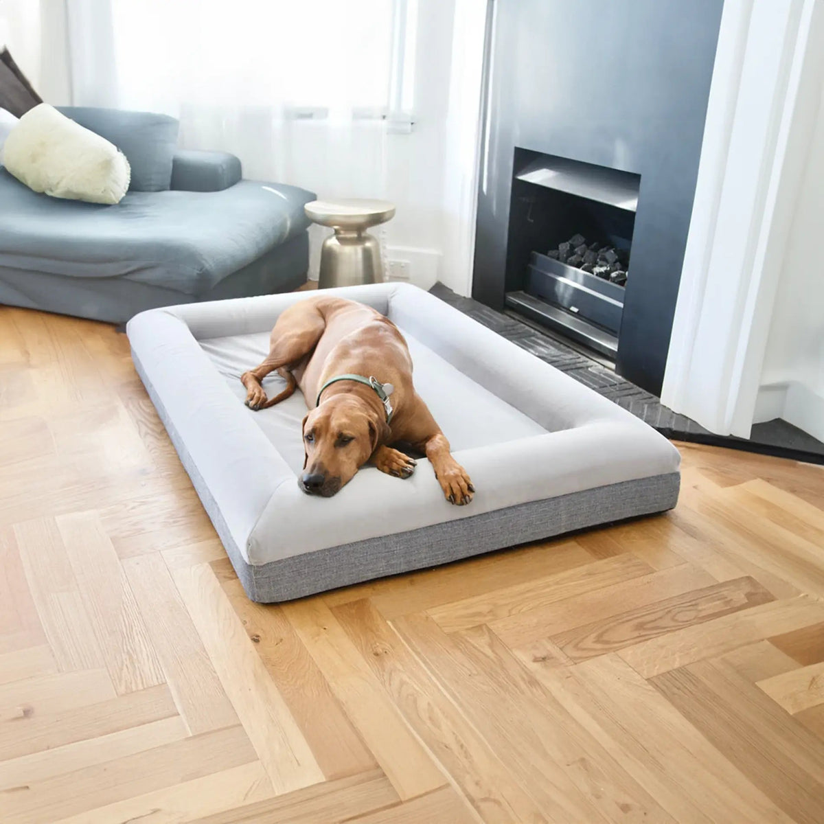 Luxury Microfiber Dog Bed, Original Gray / XL