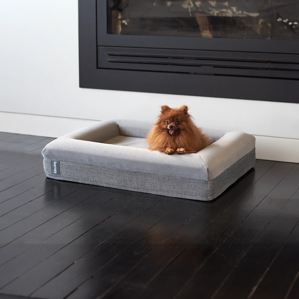 Luxury Microfiber Dog Bed, Original Gray / S