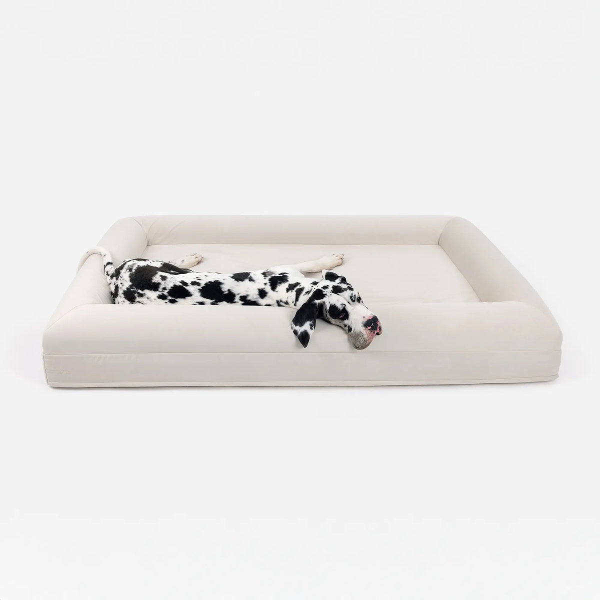 Luxury Microfiber Dog Bed, Bone / XXL