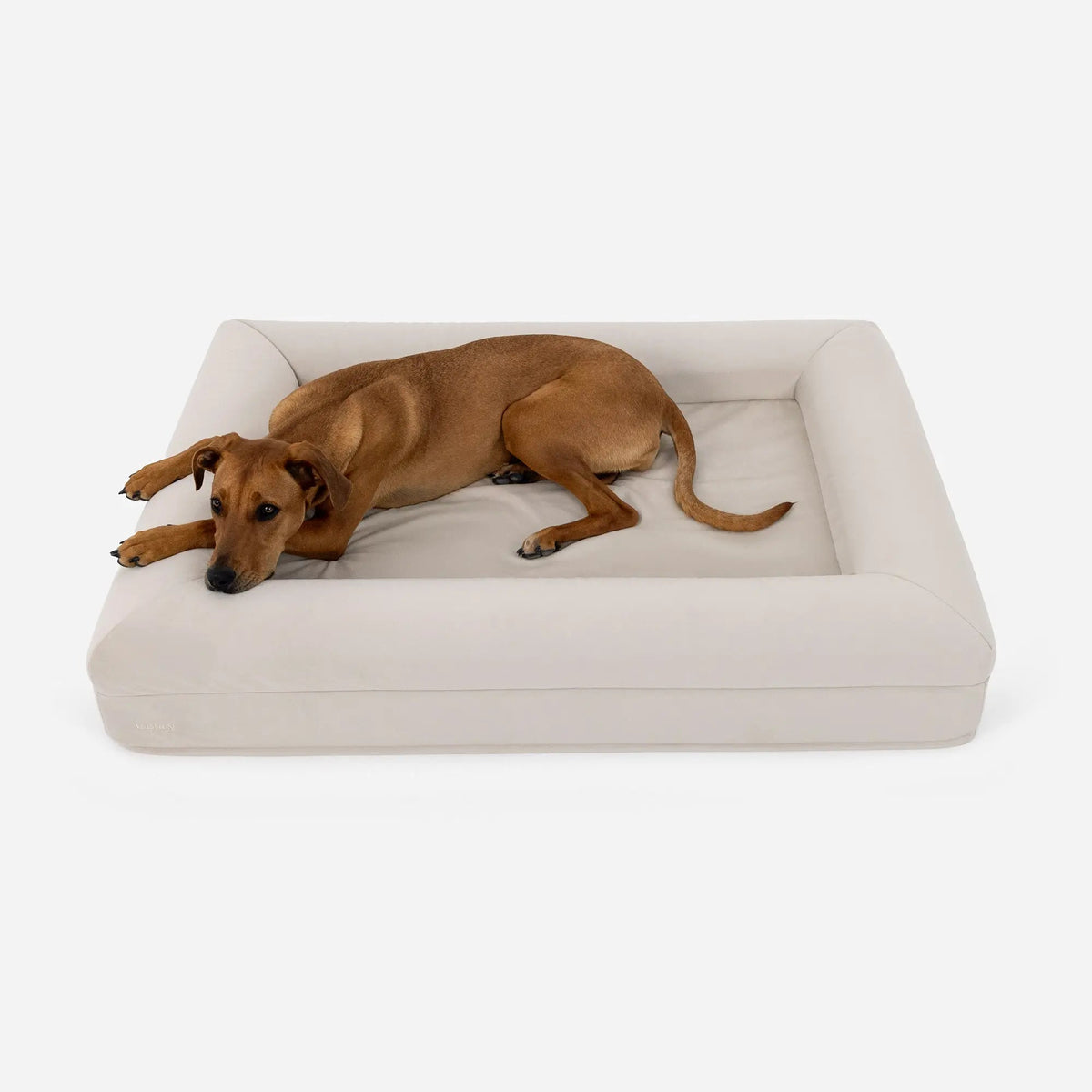Luxury Microfiber Dog Bed, Bone / L+
