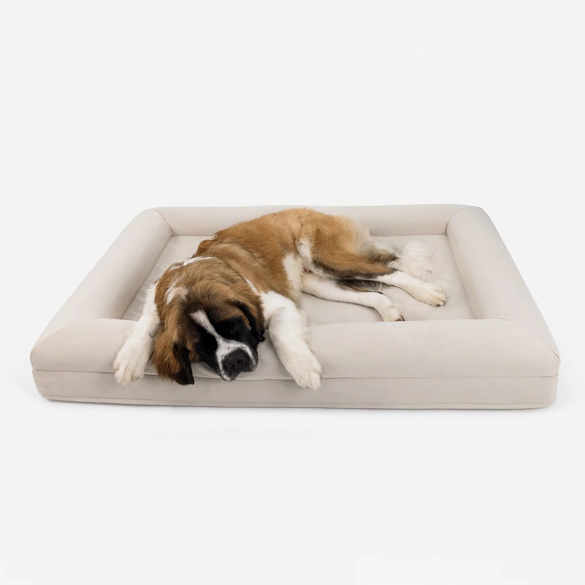Luxury Microfiber Dog Bed, Bone / XL