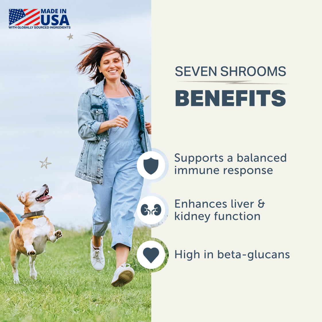 Seven-Mushroom Dog Supplement Powder product image 3