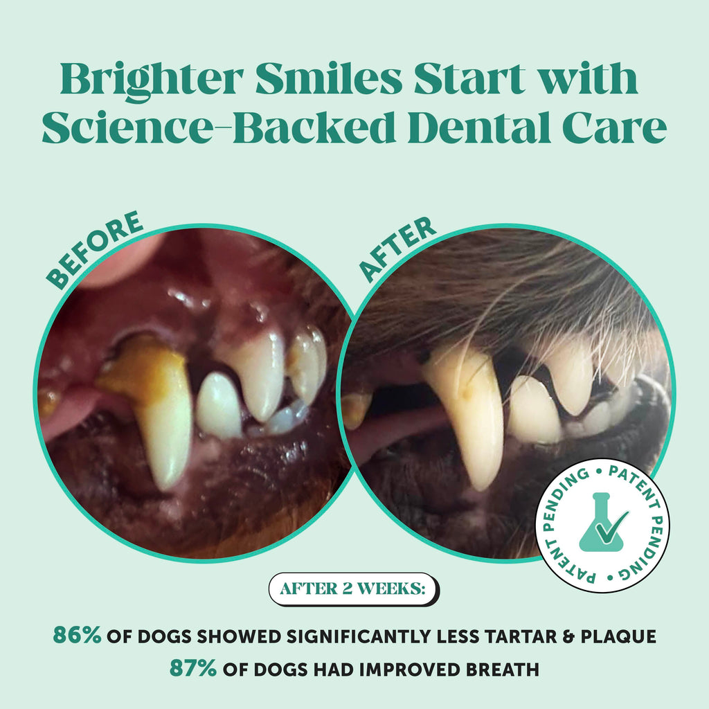 Fresh Breath Dental Powder for Dogs (60 servings) product image 2