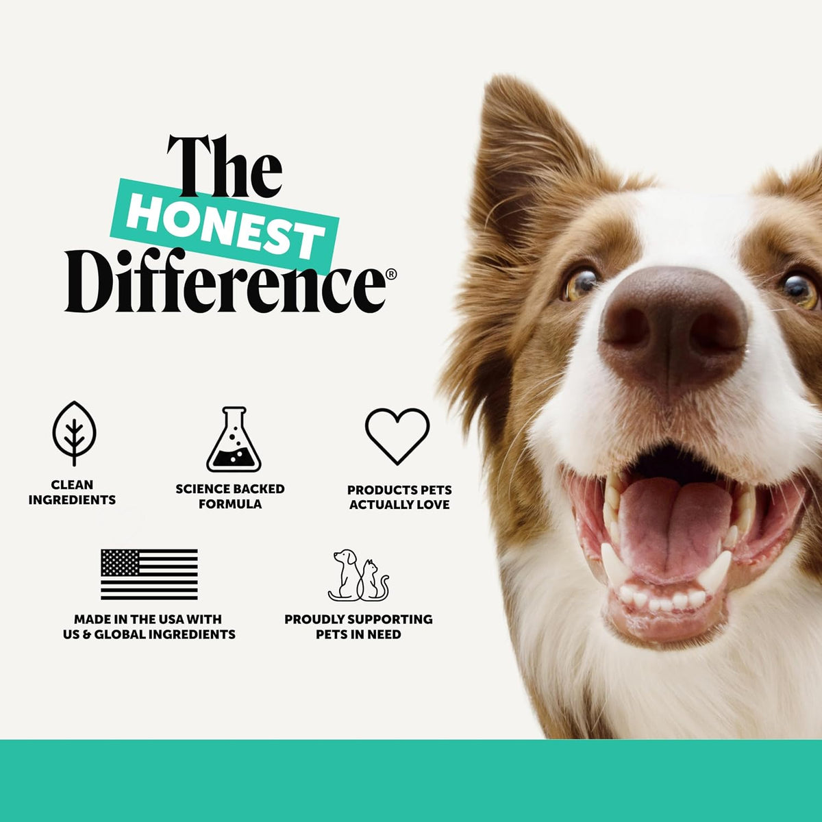 Fresh Breath Dental Powder for Dogs (60 servings) product image 9