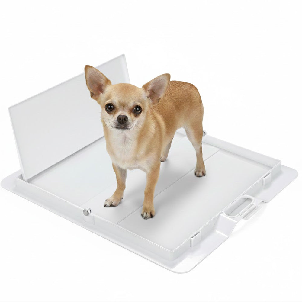 White Pee PAWD® dog pee pad holder by KindTail, designed for easy potty training and convenient pad placement.