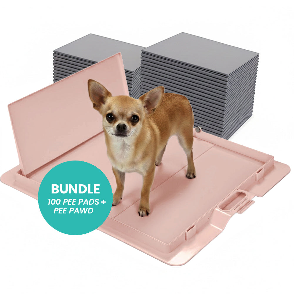 Foldable Dog Training Pad Holder, Pink / Pee PAWD Bundle