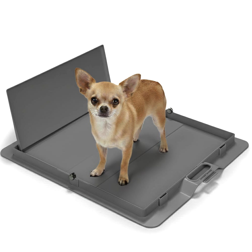 Foldable Dog Training Pad Holder, Grey / Pee PAWD