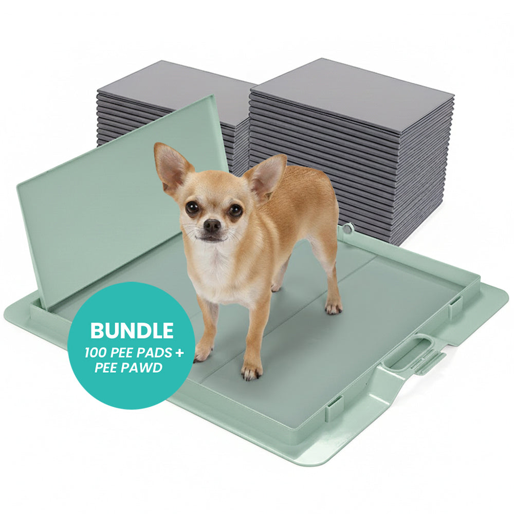 Foldable Dog Training Pad Holder, Green / Pee PAWD Bundle
