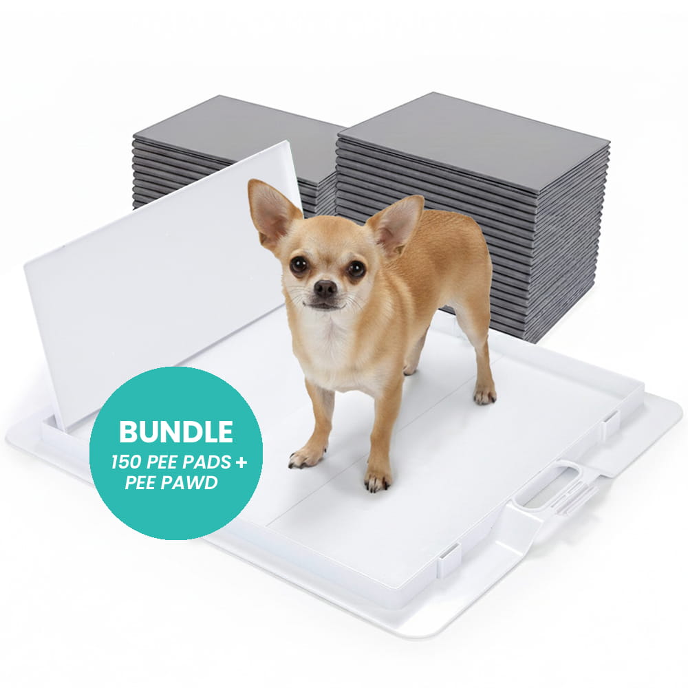 Foldable Dog Training Pad Holder, White / Pee PAWD Bundle