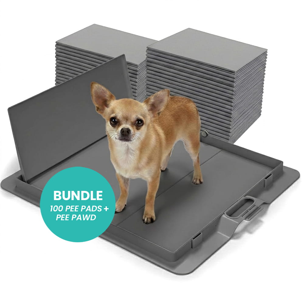 Foldable Dog Training Pad Holder, Grey / Pee PAWD Bundle