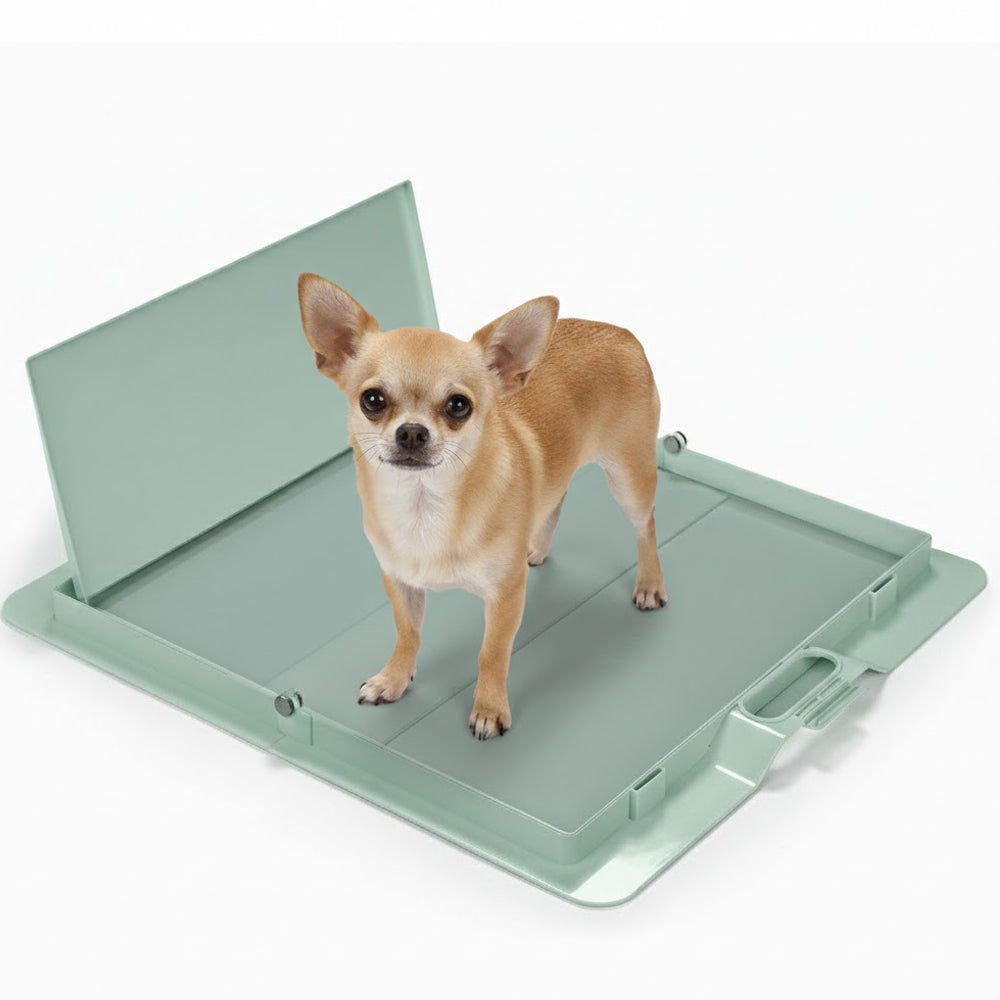 Foldable Dog Training Pad Holder, Green / Pee PAWD