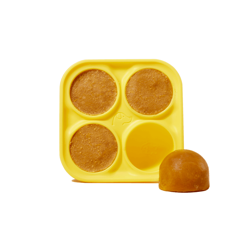 treat tray mold