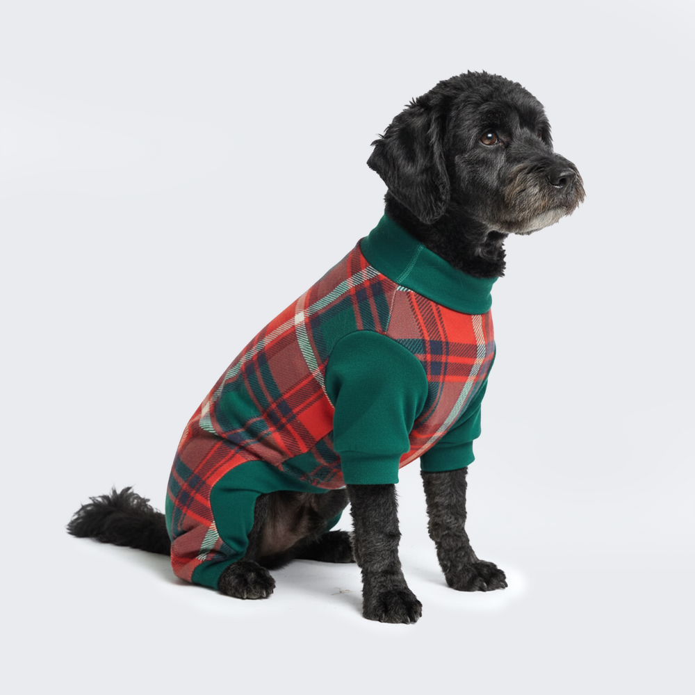 Green and Red Plaid Dog Pajamas, 2XL