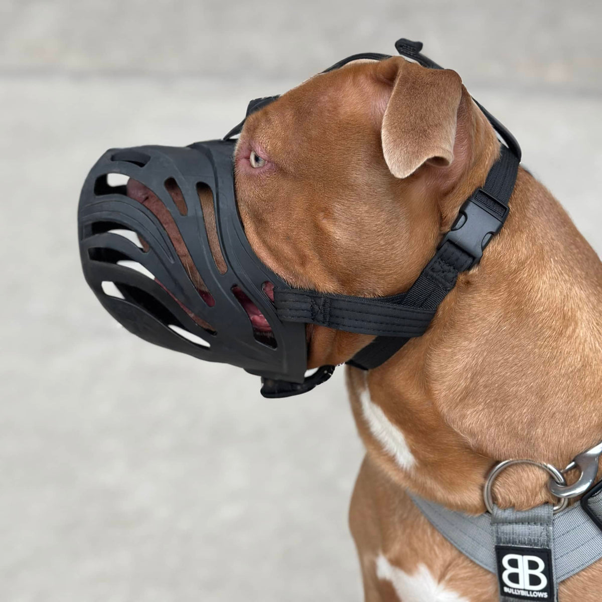 Flexible Dog Safety Muzzle, 3