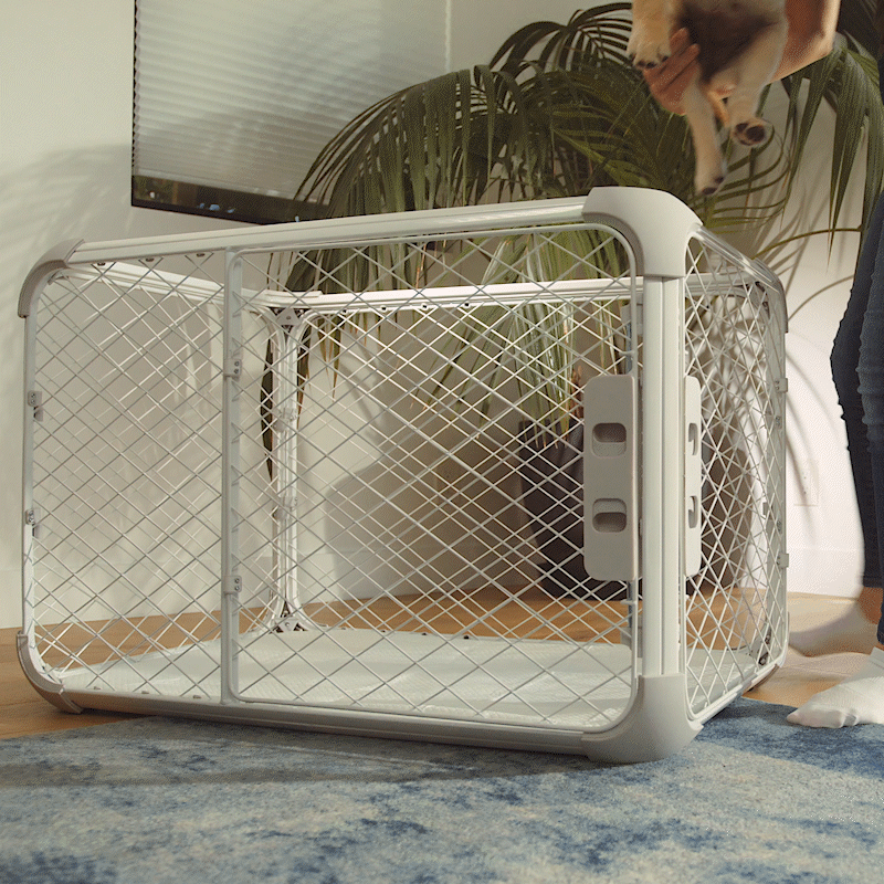 Woman putting puppy into Evolv Crate in Playpen Mode through the top