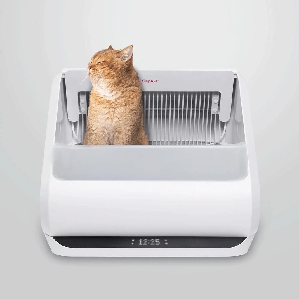 Self-Cleaning Cat Litter Box, Default Title