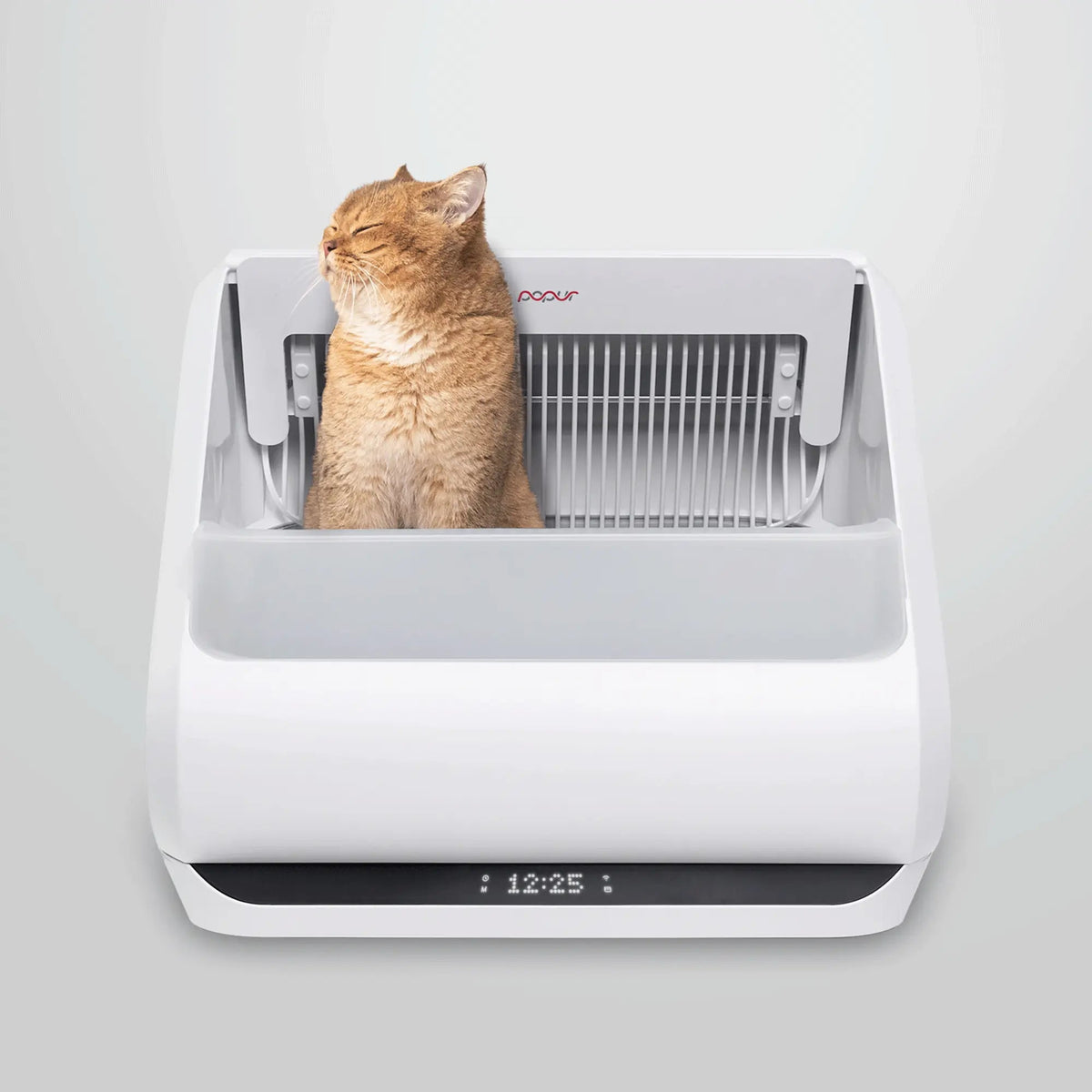 Self-Cleaning Cat Litter Box, Default Title