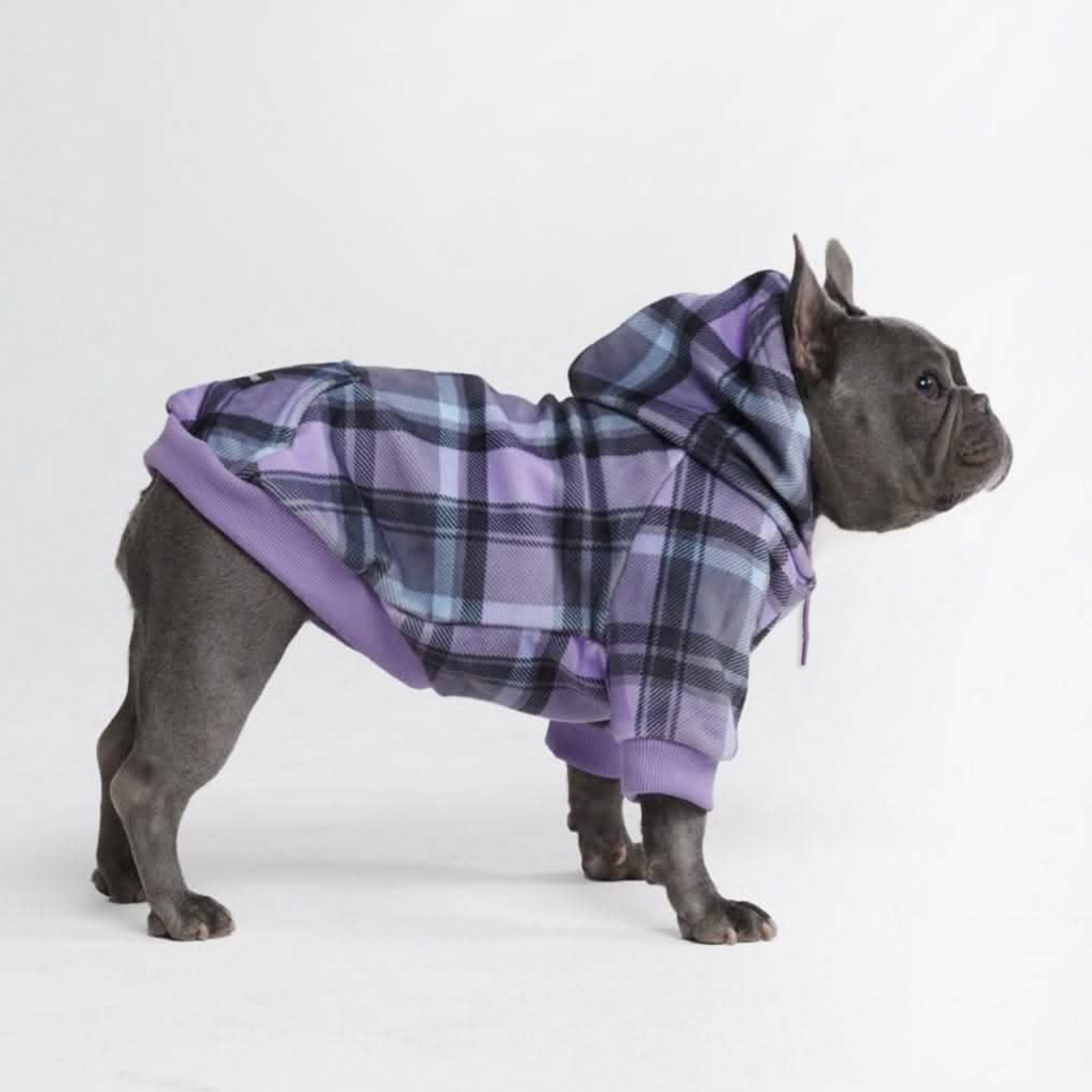 Purple Plaid Stretch Fleece Dog Hoodie, L