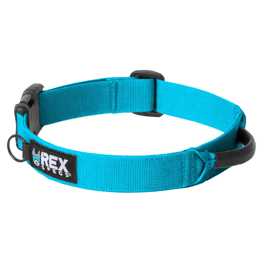 Bighorn Blue Trailhead Collar Back
