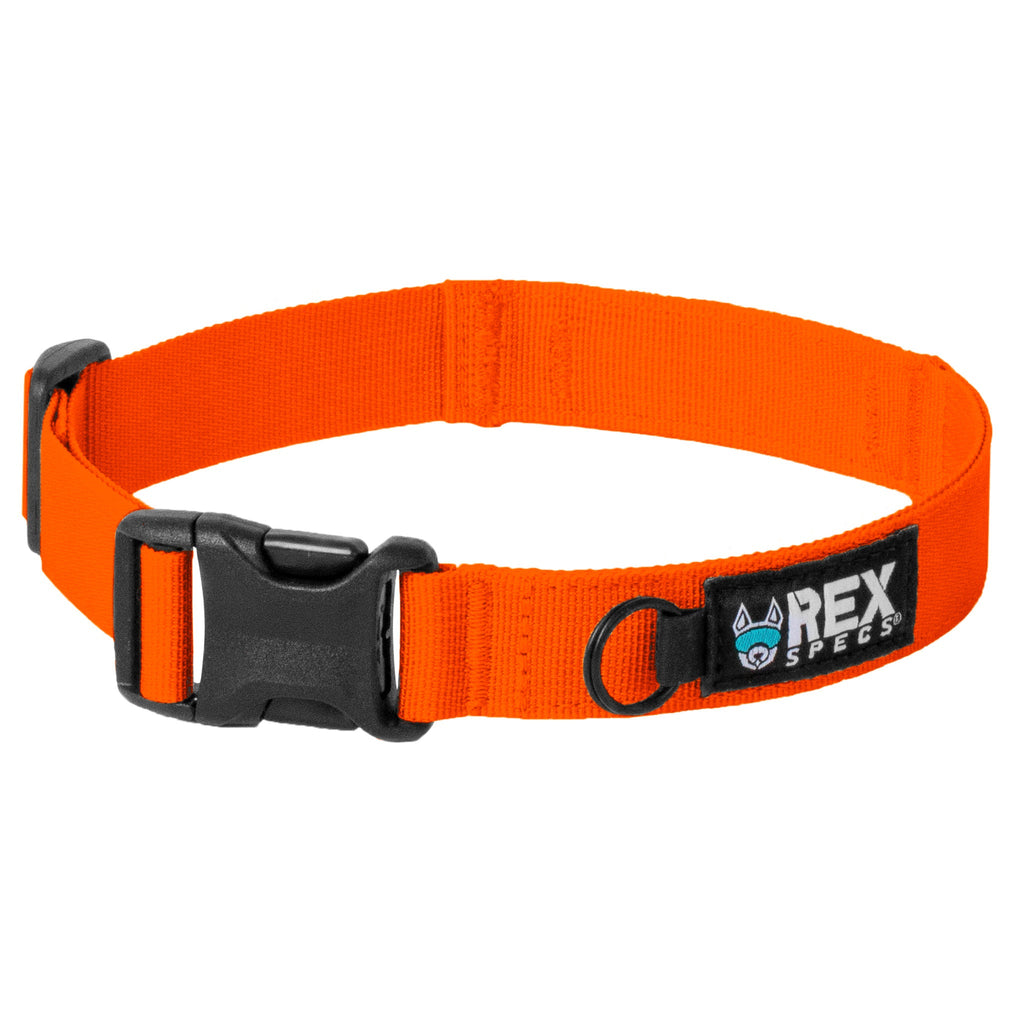 Ozark Orange Trailhead Collar