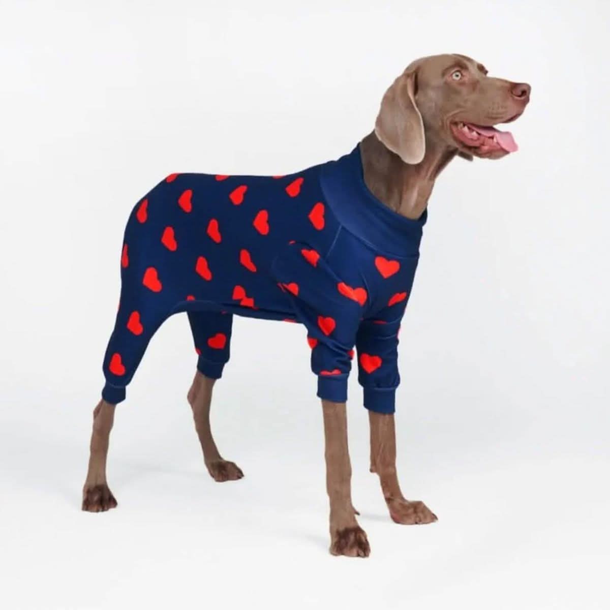 Heart-Print Dog Pajamas product image 1