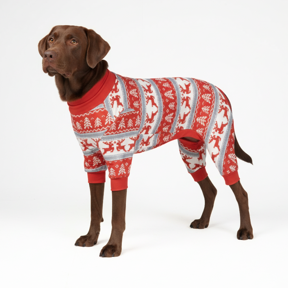 Winter Wonderland Stretch Dog Pajamas, 3XL
