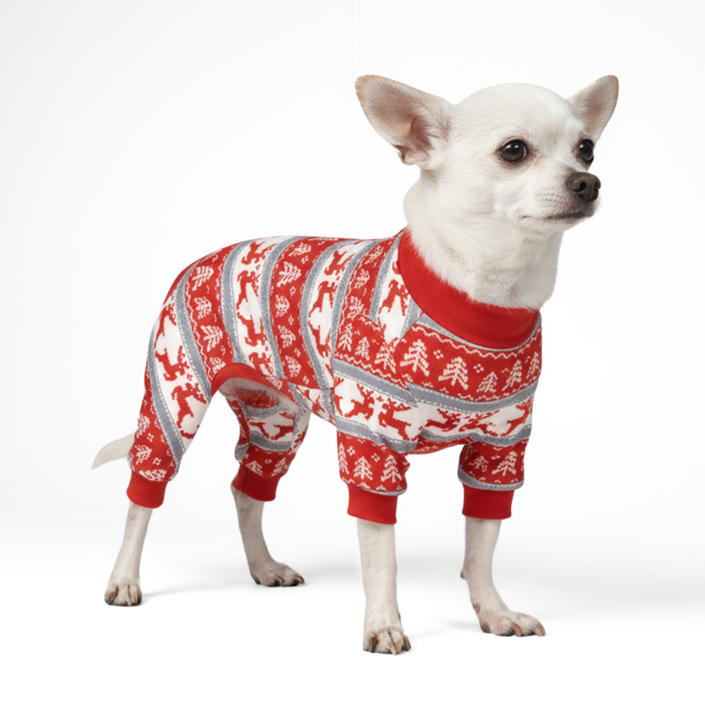 Winter Wonderland Stretch Dog Pajamas, S