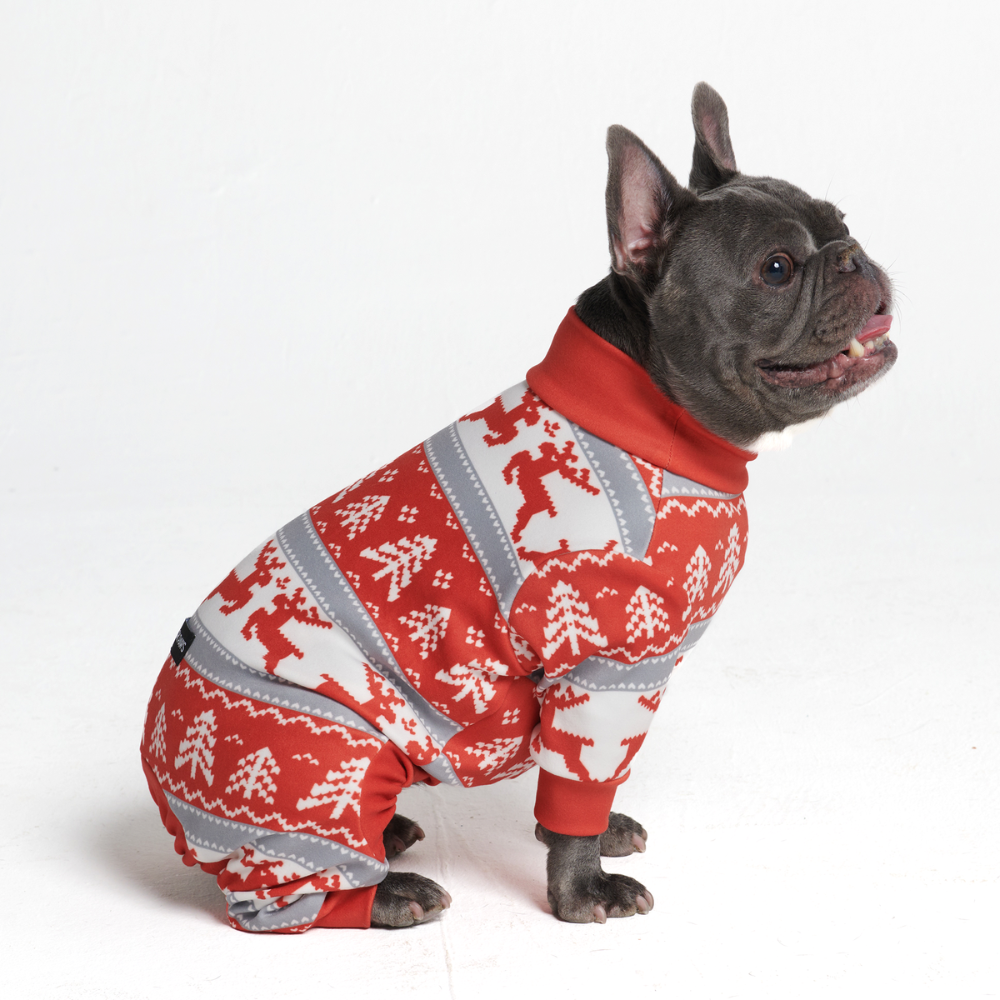 Winter Wonderland Stretch Dog Pajamas, XL