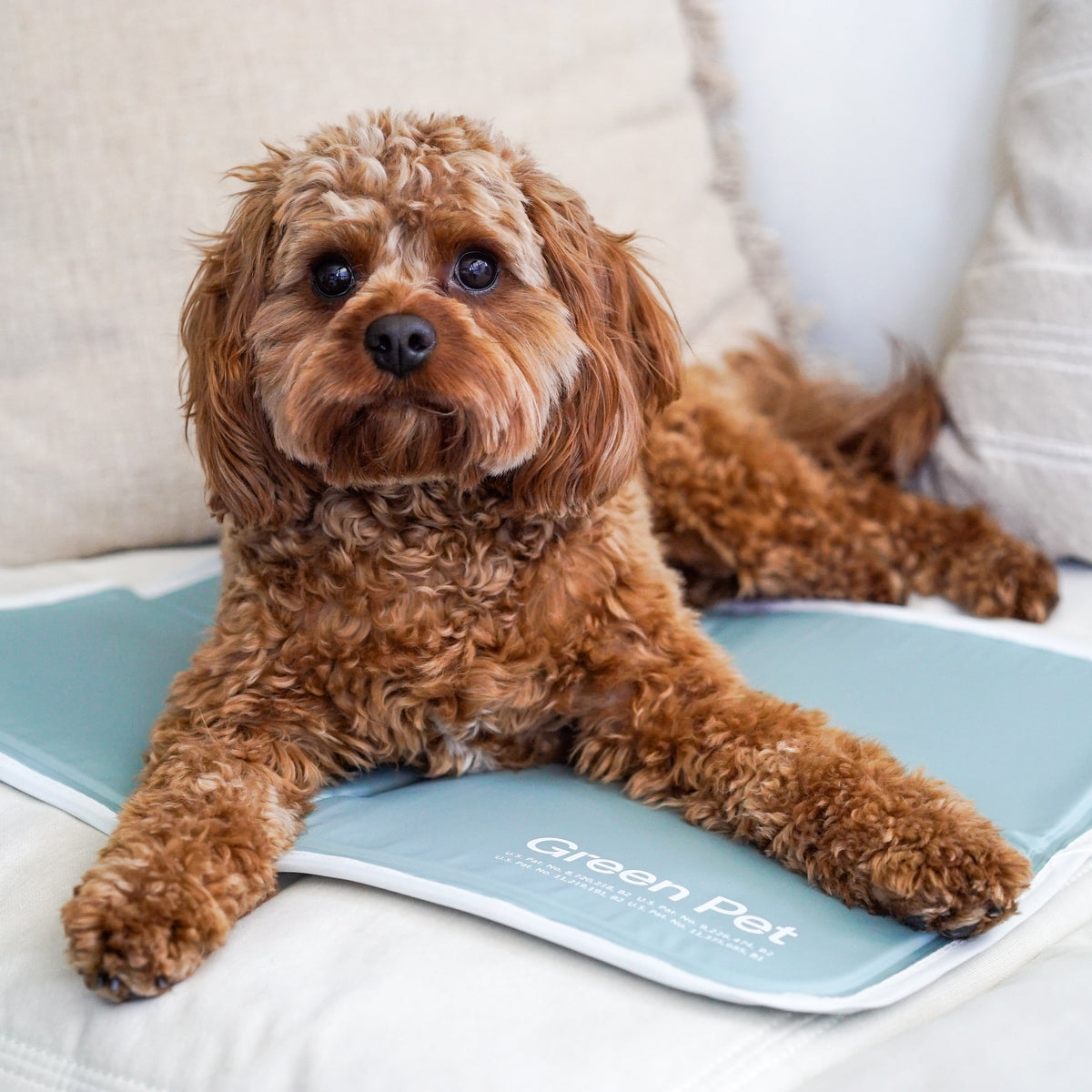 Pressure-Activated Cooling Pet Pad, XS / Sage Gray