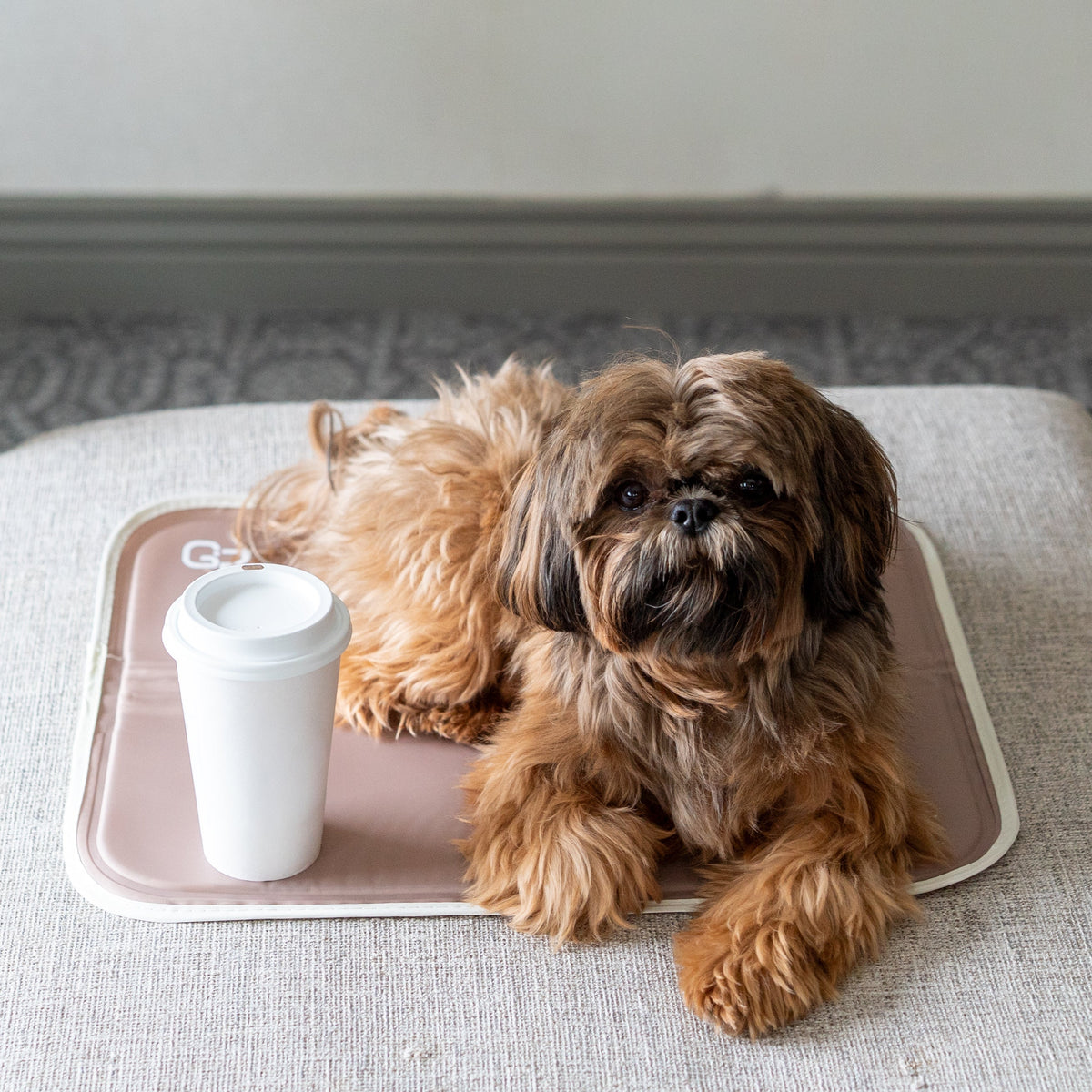 Pressure-Activated Cooling Pet Pad, S / Iced Latte