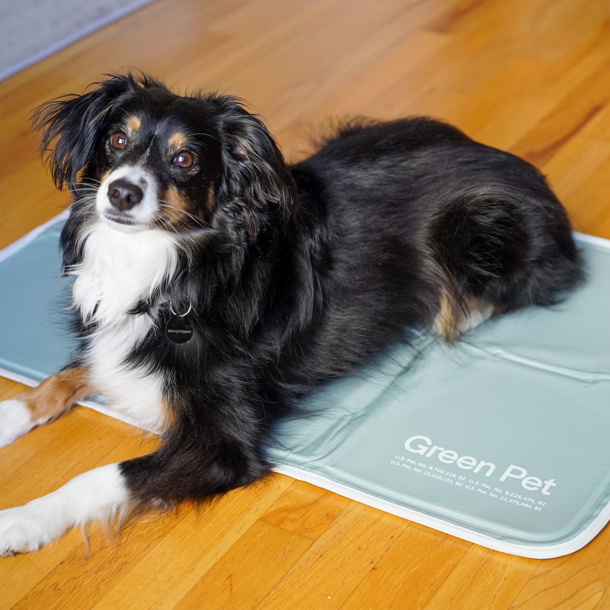 Pressure-Activated Cooling Pet Pad, M / Sage Gray