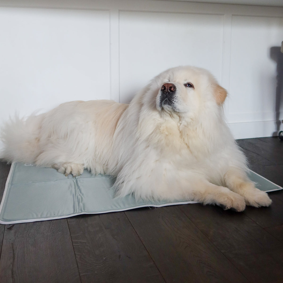 Pressure-Activated Cooling Pet Pad, XL / Sage Gray