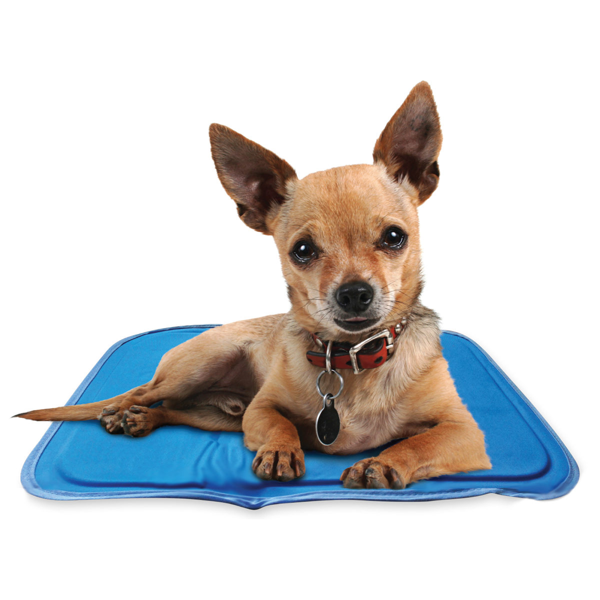 Pressure-Activated Cooling Pet Pad, XS / Blue