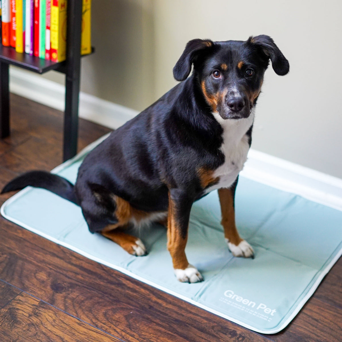 Pressure-Activated Cooling Pet Pad, L / Sage Gray