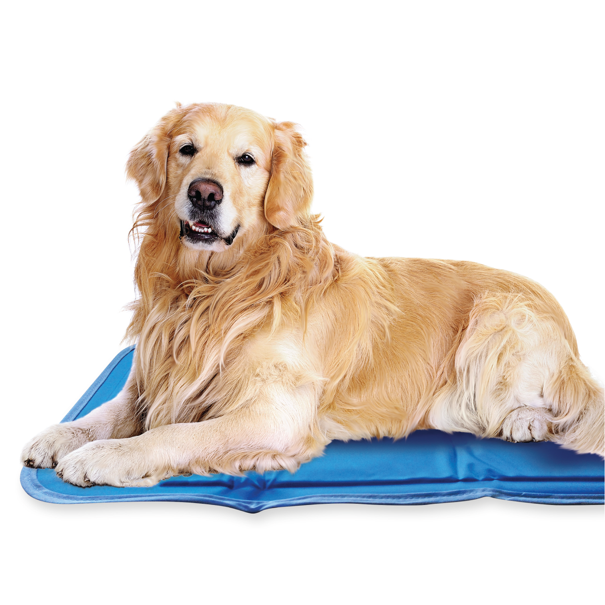 Pressure-Activated Cooling Pet Pad, L / Blue