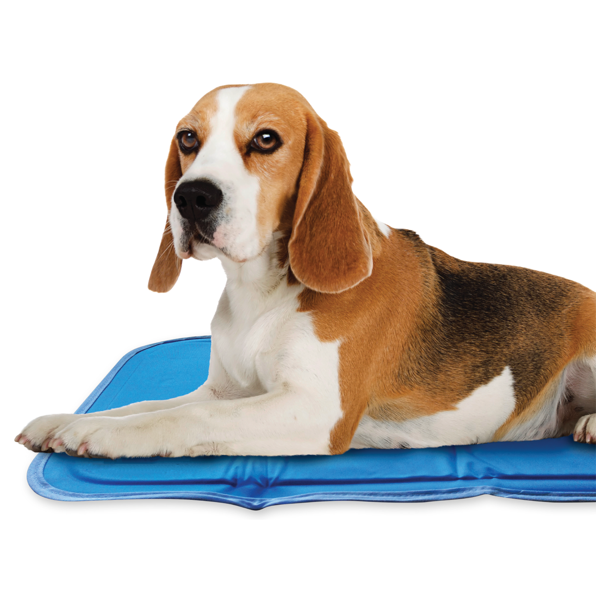 Pressure-Activated Cooling Pet Pad, S / Blue