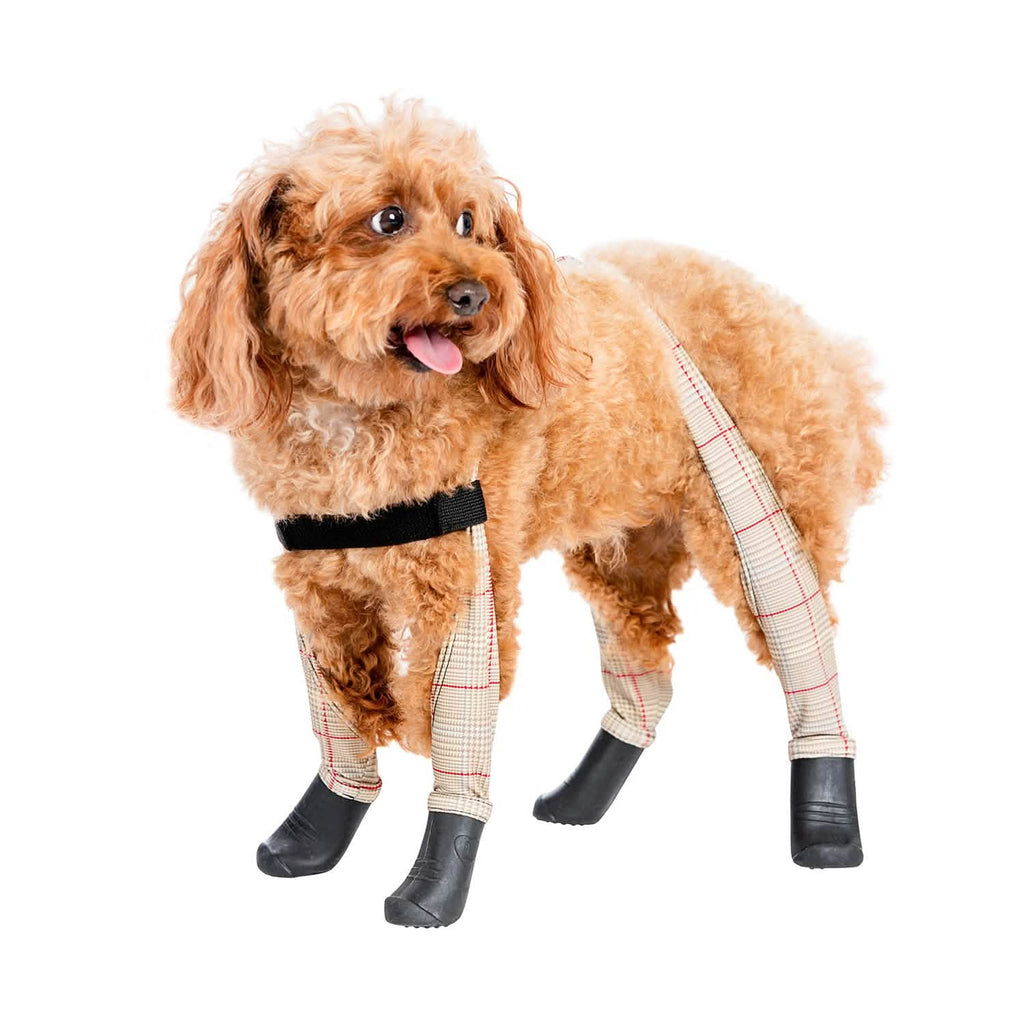 Waterproof Dog Boot Leggings product image 18