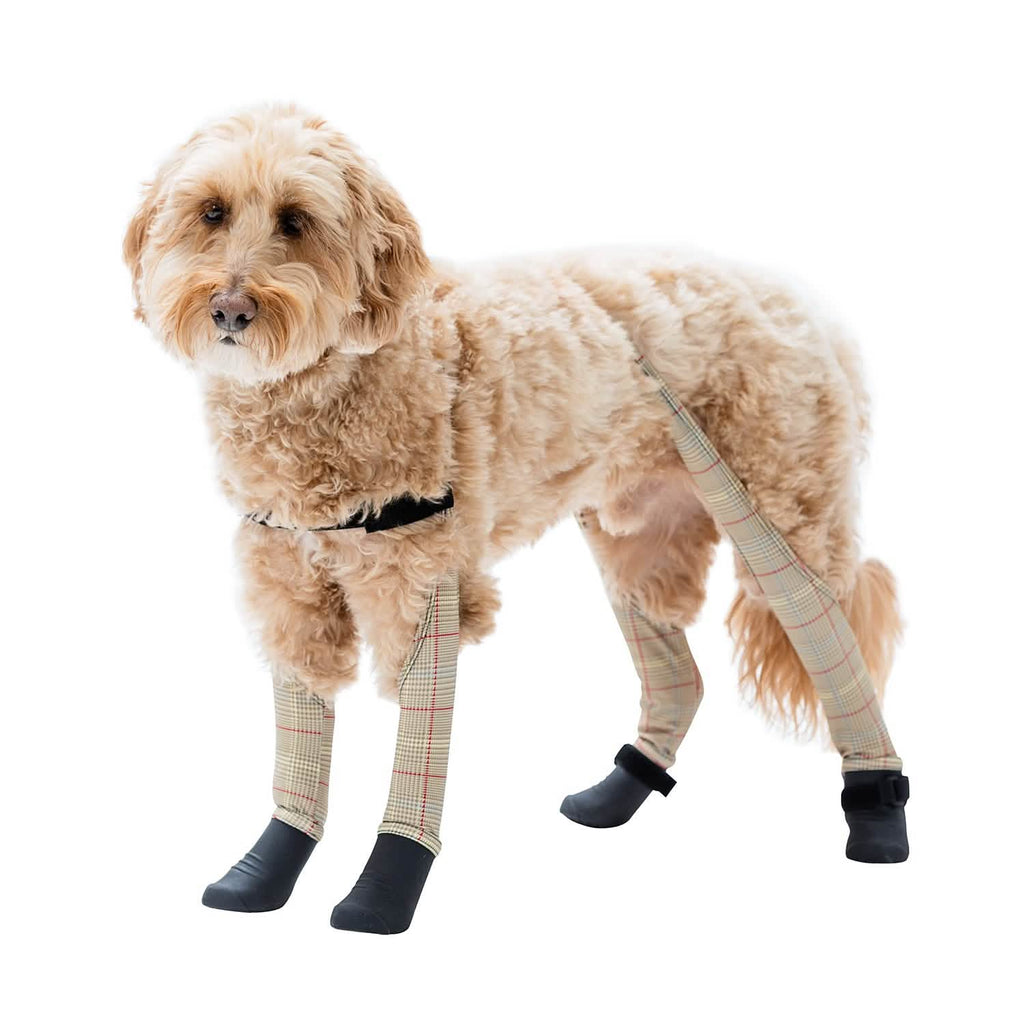 Waterproof Dog Boot Leggings product image 19