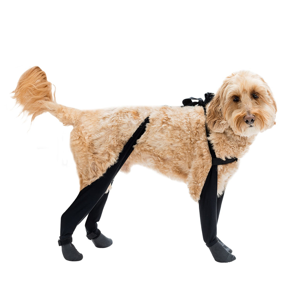 Waterproof Dog Boot Leggings product image 39