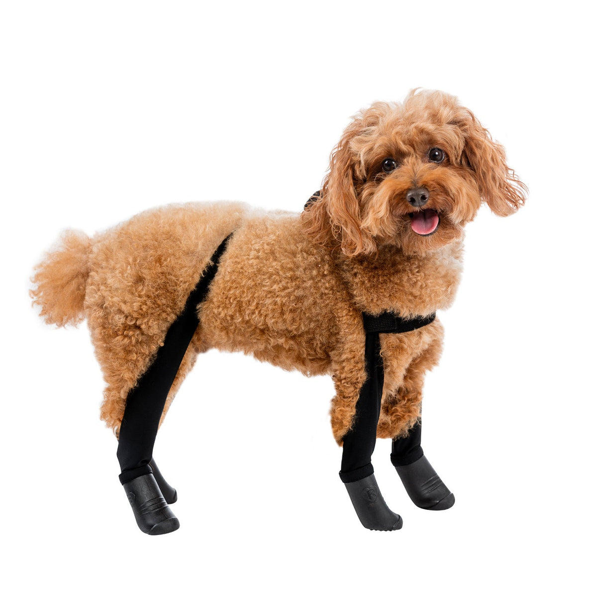 Waterproof Dog Boot Leggings product image 43