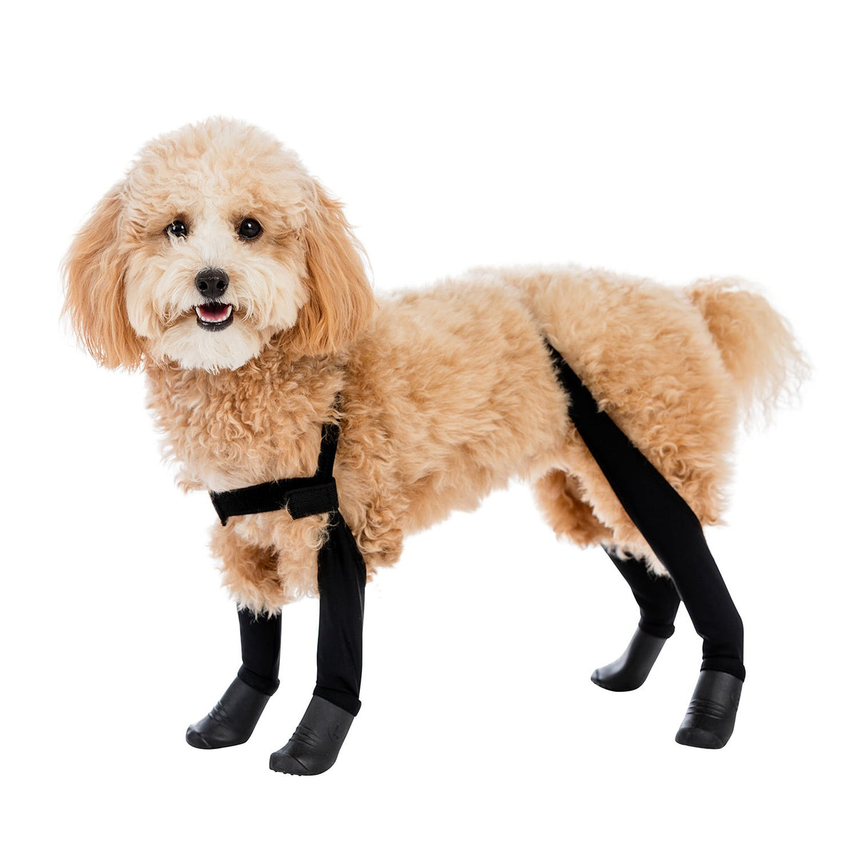 Waterproof Dog Boot Leggings, Black / XS-Tall