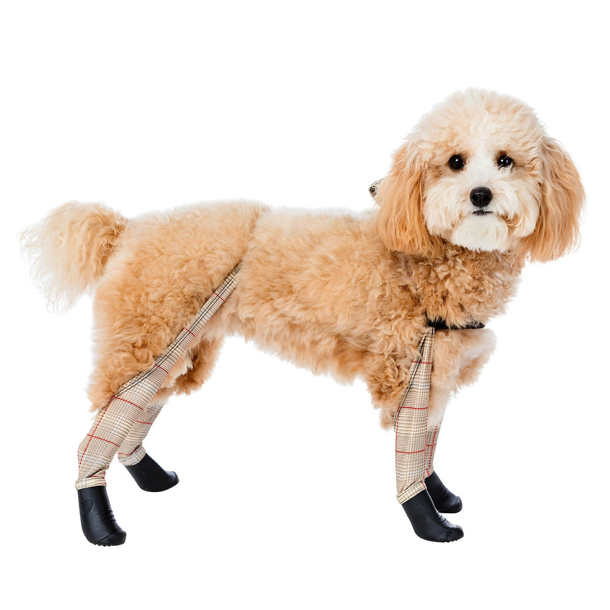 Waterproof Dog Boot Leggings, Beige-Plaid / XS-Tall