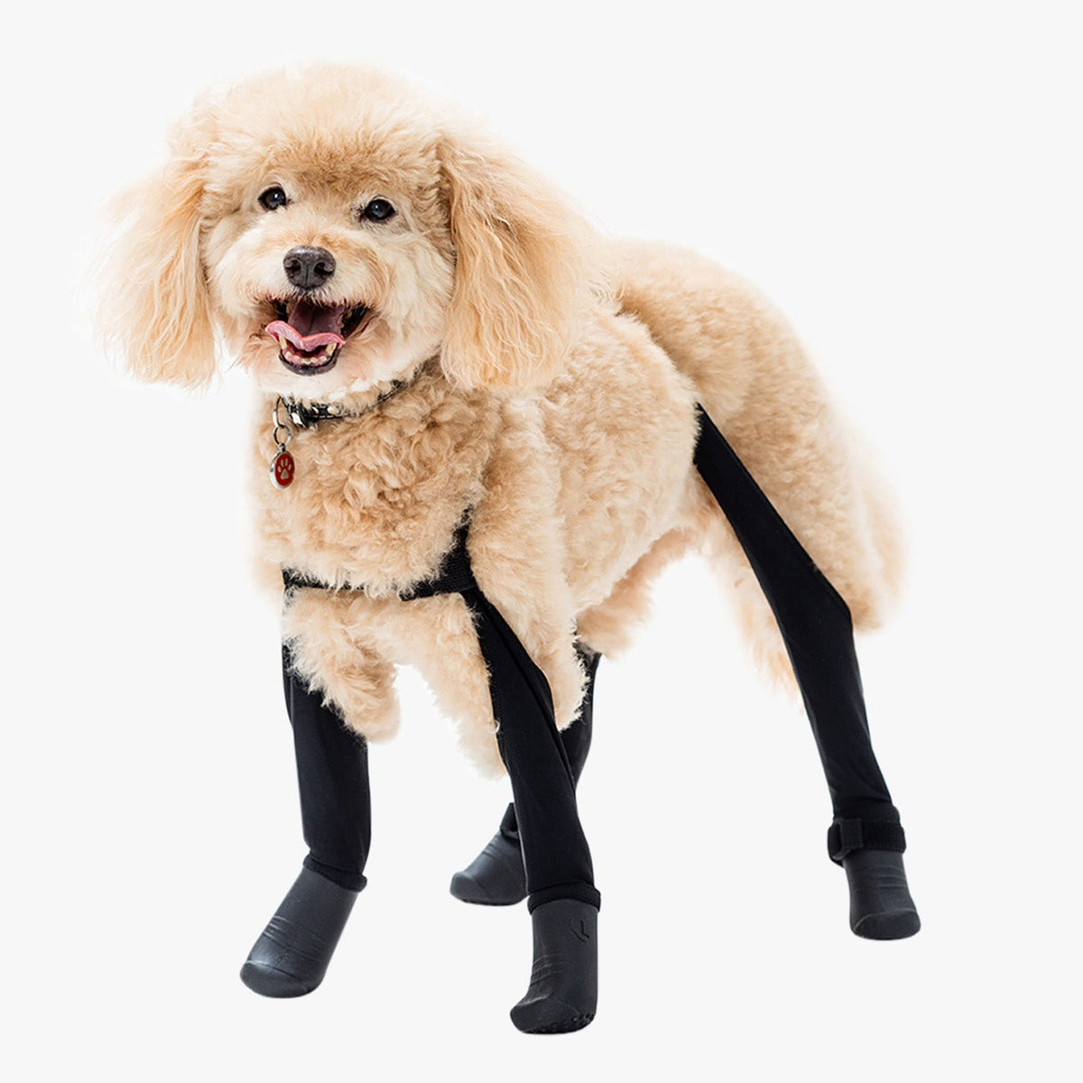 Waterproof Dog Boot Leggings, Black / S