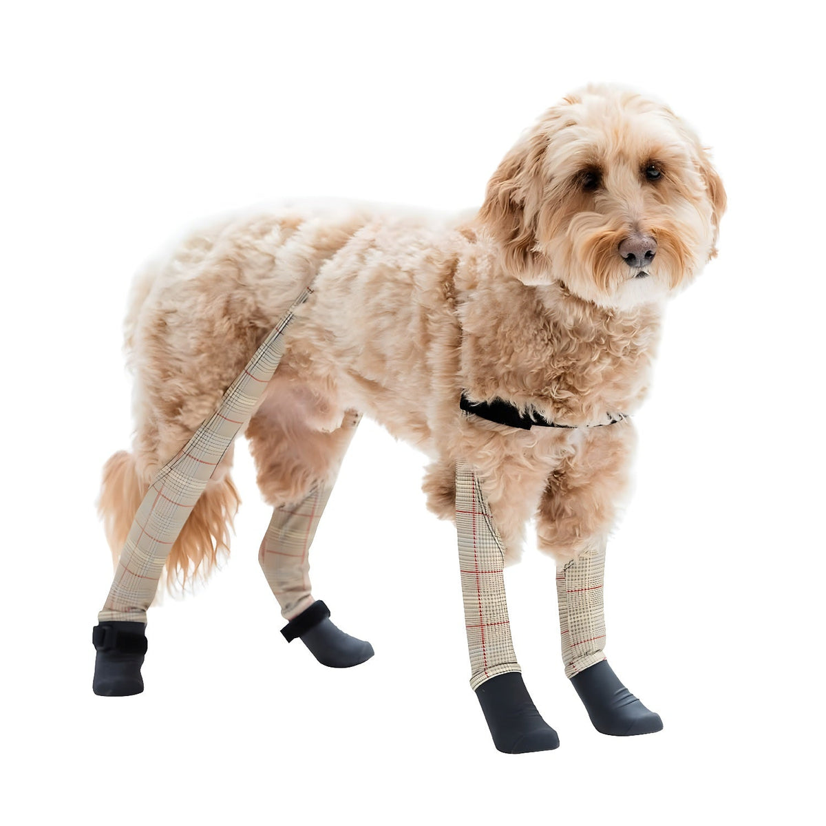Waterproof Dog Boot Leggings, Beige-Plaid / S/M