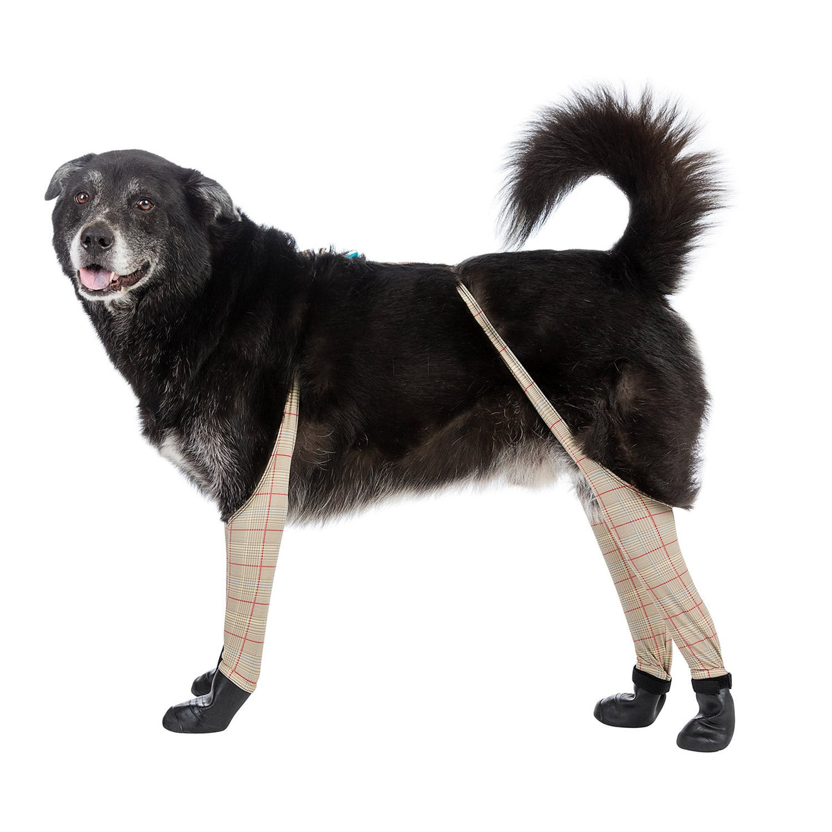 Waterproof Dog Boot Leggings, Beige-Plaid / L