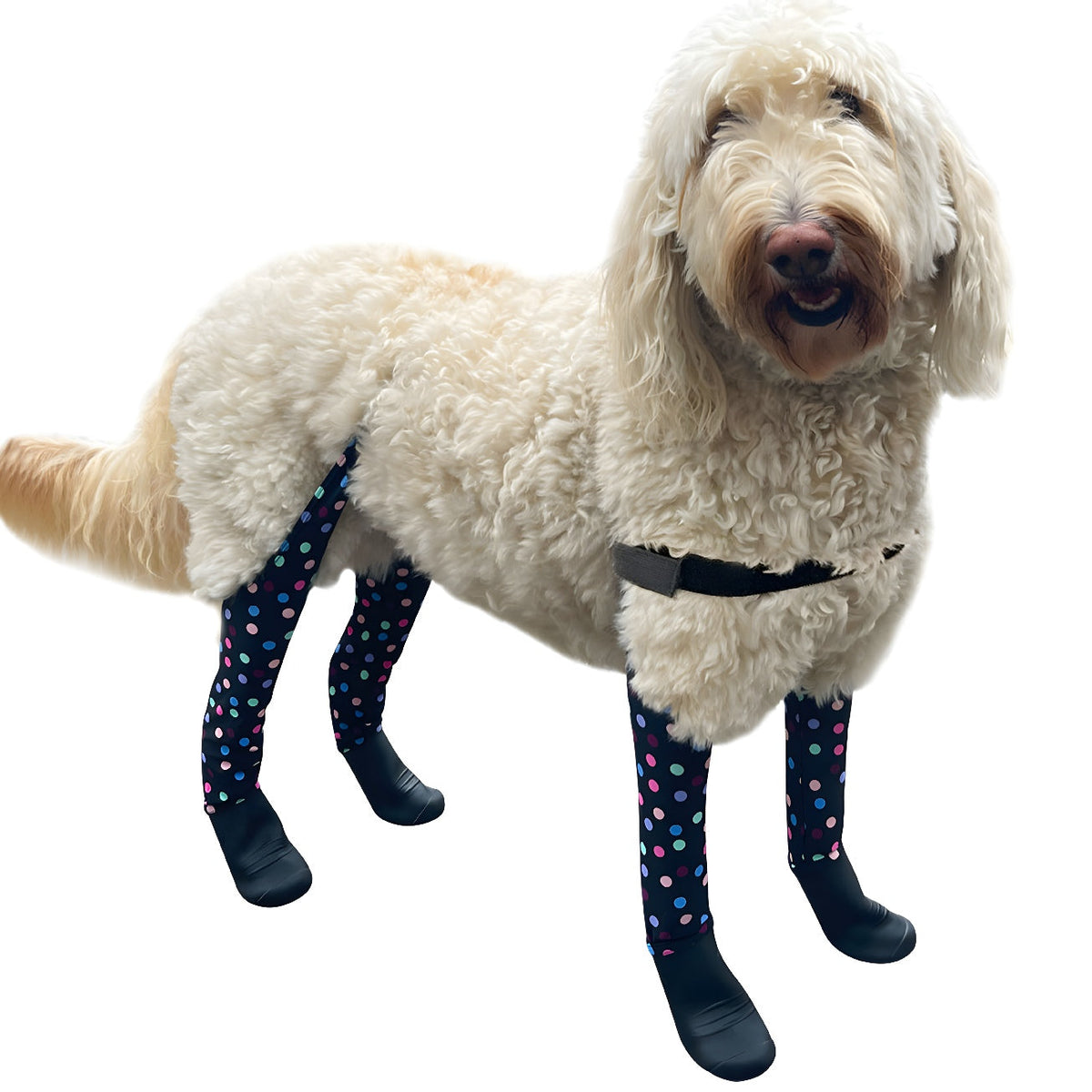 Waterproof Dog Boot Leggings, Confetti / L