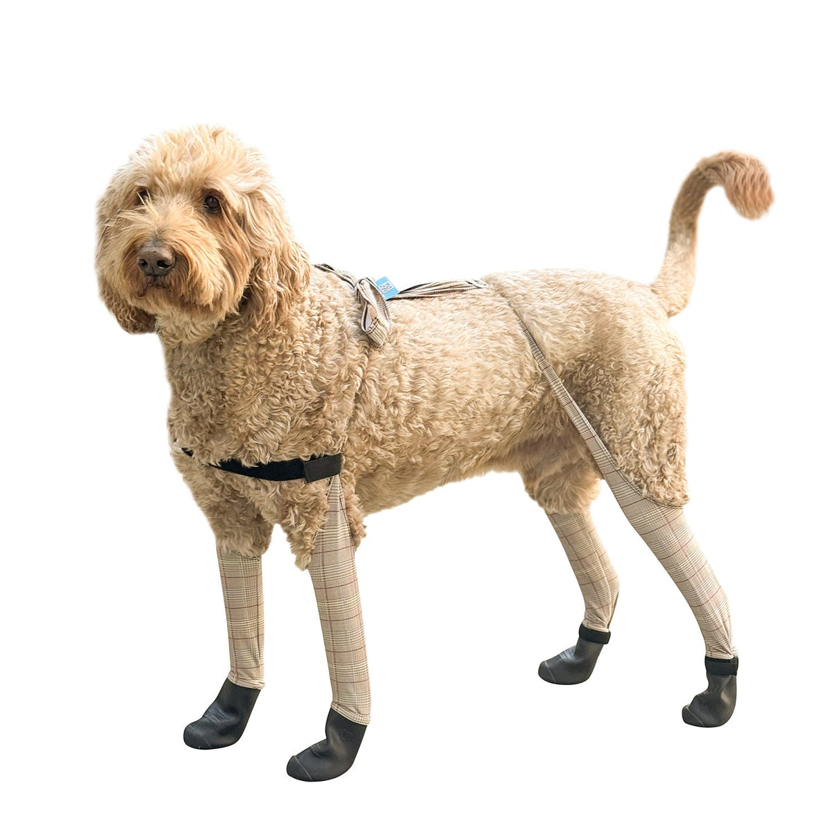Waterproof Dog Boot Leggings, Beige-Plaid / M